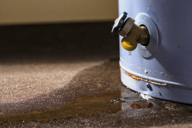 Best Water damage contractors near me  in Agler Beach, FL