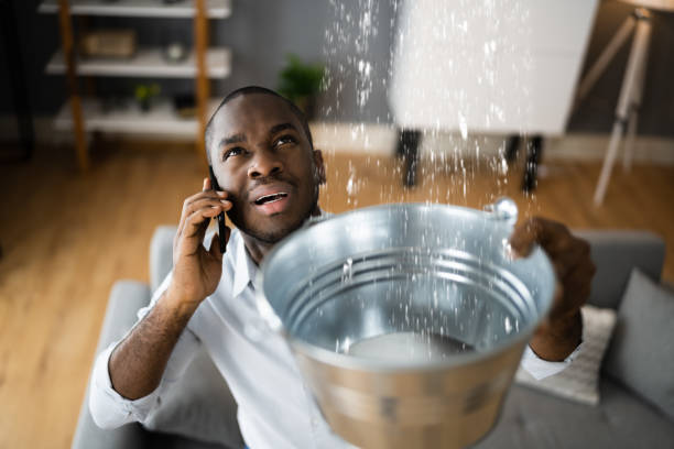 Best Water damage restoration near me  in Agler Beach, FL