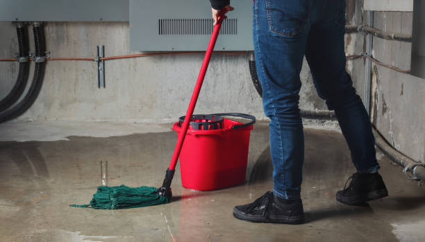 Best Flood damage cleanup  in Agler Beach, FL