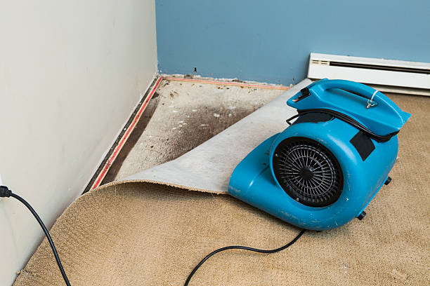 Best Ceiling water damage repair  in Agler Beach, FL